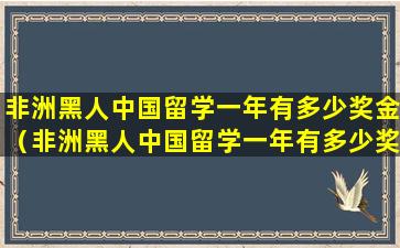 非洲黑人中国留学一年有多少奖金（非洲黑人中国留学一年有多少奖金啊）