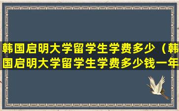 韩国启明大学留学生学费多少（韩国启明大学留学生学费多少钱一年）