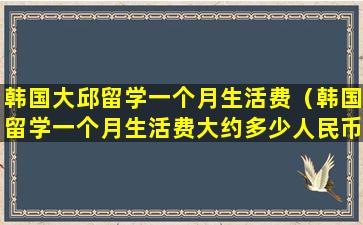 韩国大邱留学一个月生活费（韩国留学一个月生活费大约多少人民币）