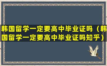 韩国留学一定要高中毕业证吗（韩国留学一定要高中毕业证吗知乎）