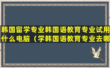 韩国留学专业韩国语教育专业试用什么电脑（学韩国语教育专业去哪个学校）