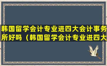 韩国留学会计专业进四大会计事务所好吗（韩国留学会计专业进四大会计事务所好吗知乎）