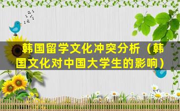 韩国留学文化冲突分析（韩国文化对中国大学生的影响）