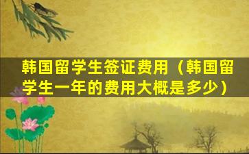 韩国留学生签证费用（韩国留学生一年的费用大概是多少）