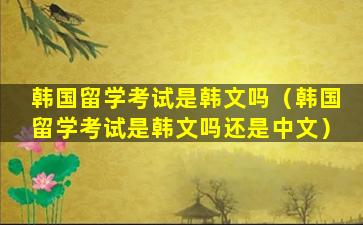 韩国留学考试是韩文吗（韩国留学考试是韩文吗还是中文）