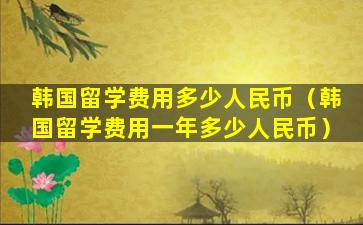 韩国留学费用多少人民币（韩国留学费用一年多少人民币）