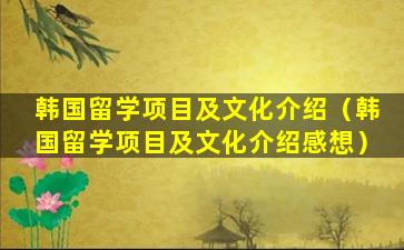 韩国留学项目及文化介绍（韩国留学项目及文化介绍感想）