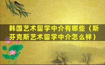 韩国艺术留学中介有哪些（斯芬克斯艺术留学中介怎么样）