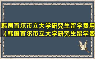 韩国首尔市立大学研究生留学费用（韩国首尔市立大学研究生留学费用大概多少）