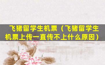 飞猪留学生机票（飞猪留学生机票上传一直传不上什么原因）