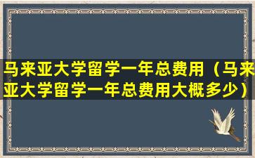 马来亚大学留学一年总费用（马来亚大学留学一年总费用大概多少）