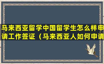 马来西亚留学中国留学生怎么样申请工作签证（马来西亚人如何申请中国工作签证）