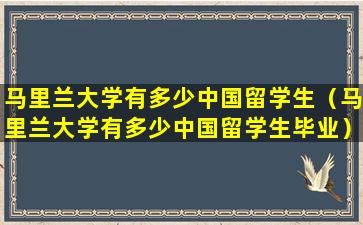 马里兰大学有多少中国留学生（马里兰大学有多少中国留学生毕业）