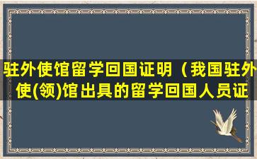 驻外使馆留学回国证明（我国驻外使(领)馆出具的留学回国人员证明）
