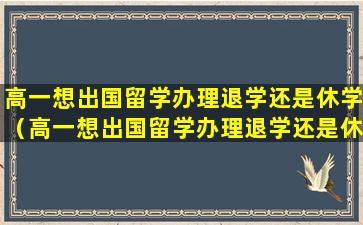 高一想出国留学办理退学还是休学（高一想出国留学办理退学还是休学好）