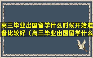 高三毕业出国留学什么时候开始准备比较好（高三毕业出国留学什么时候开始准备比较好一点）