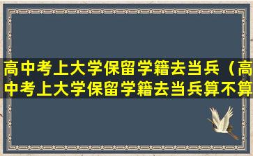 高中考上大学保留学籍去当兵（高中考上大学保留学籍去当兵算不算大学生退役士兵）