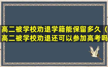 高二被学校劝退学籍能保留多久（高二被学校劝退还可以参加高考吗）