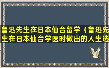 鲁迅先生在日本仙台留学（鲁迅先生在日本仙台学医时做出的人生选择并简述原因）