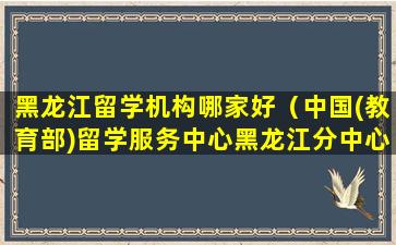 黑龙江留学机构哪家好（中国(教育部)留学服务中心黑龙江分中心）