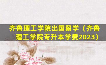 齐鲁理工学院出国留学（齐鲁理工学院专升本学费2023）